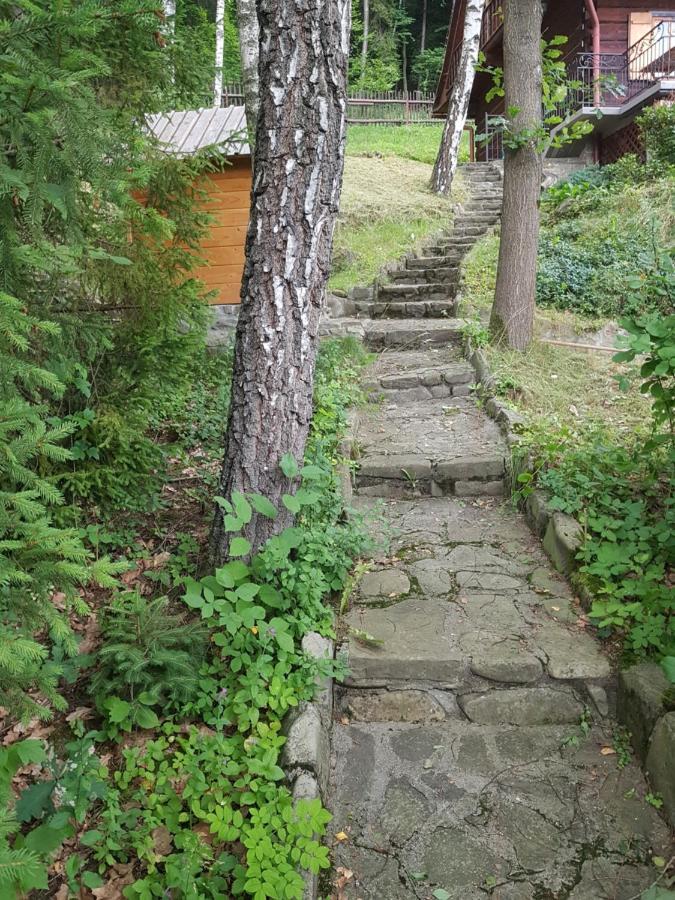 Gniewnik Villa Pcim Dış mekan fotoğraf